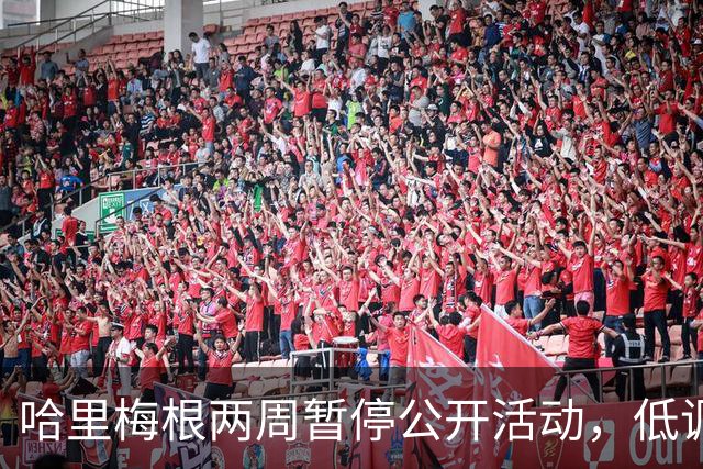 哈里梅根两周暂停公开活动，低调避风头，不抢查尔斯国王风头