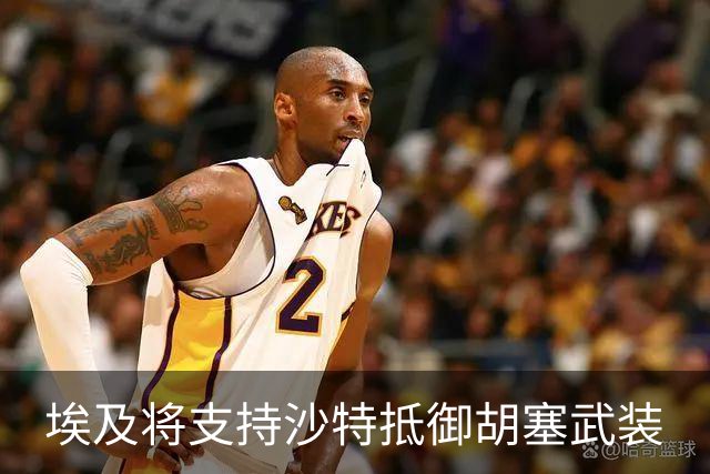 埃及将支持沙特抵御胡塞武装