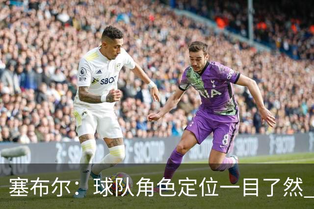 塞布尔：球队角色定位一目了然 球队体系帮助我们发挥长处