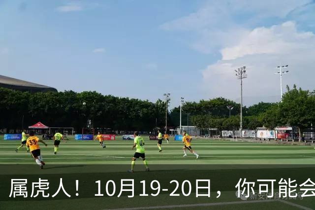 属虎人！10月19-20日，你可能会哭一场，但实则是天大好事