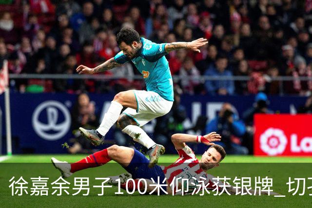 徐嘉余男子100米仰泳获银牌 切孔夺金