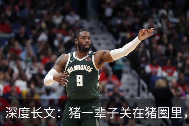 深度长文：猪一辈子关在猪圈里，为什么不会"憋疯"抑郁？其实它会