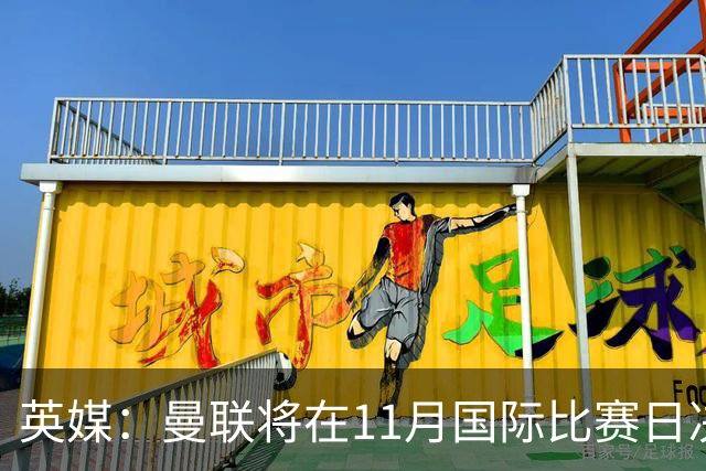 英媒：曼联将在11月国际比赛日决定卡里克去留