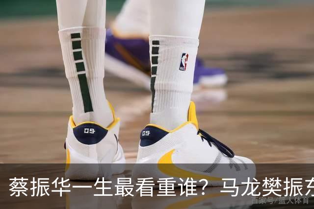 蔡振华一生最看重谁？马龙樊振东都落选，保国乒长青的底牌终揭晓