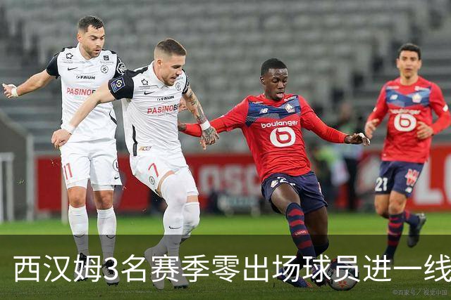 西汉姆3名赛季零出场球员进一线队合照，球迷调侃：签新人了?